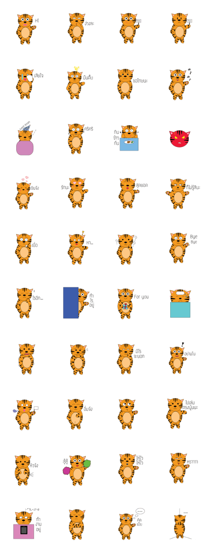 Funny Tiger