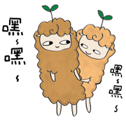 Alpaca's Life