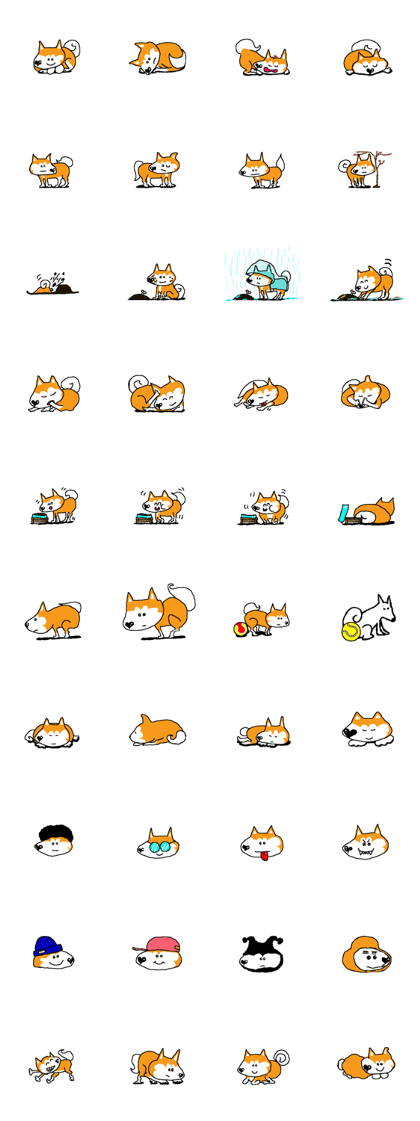 Shiba inu MOMO chan the third as well 15