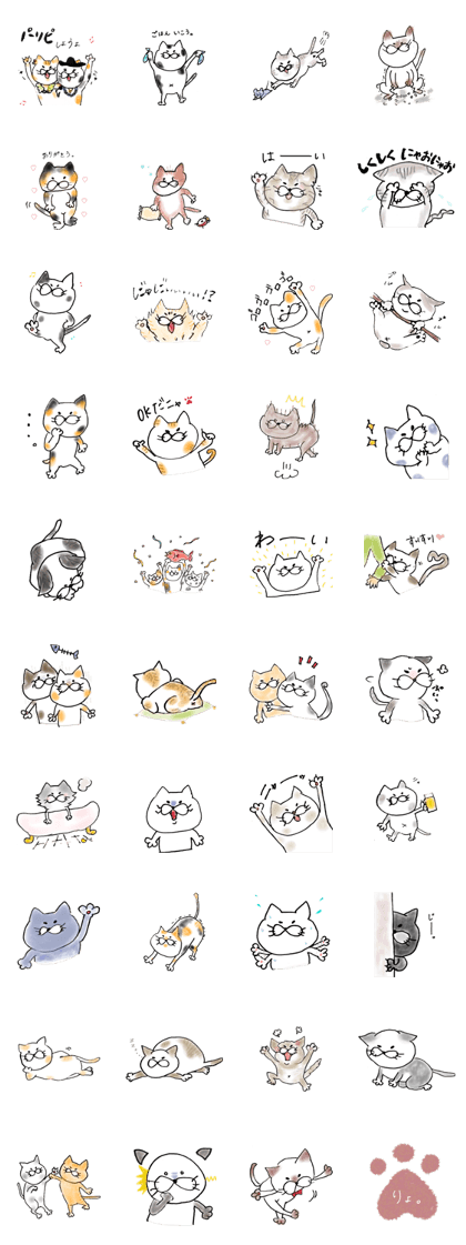 huguri Cat