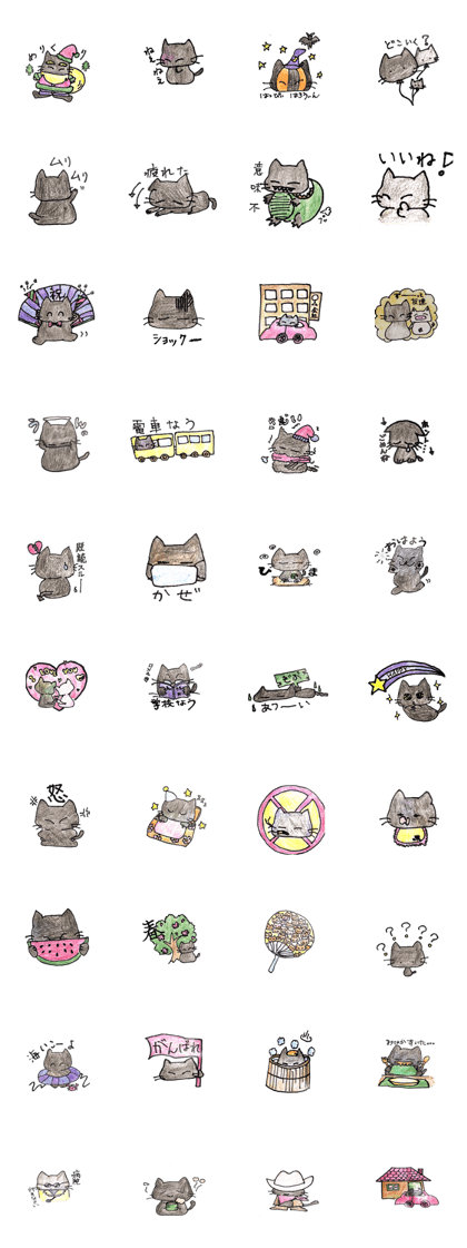 Black Cat 1day