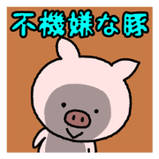 Sullen pig