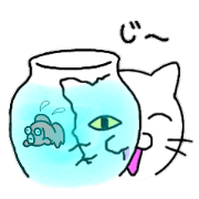 Moonface Cat