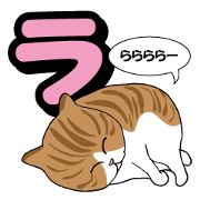 Happy life with a cat (Part9)