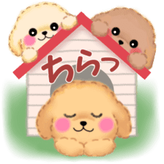 かわいい トイプードルbigスタンプ Line スタンプ Line Store かわいい トイプードルbigスタンプ Line スタンプ Line Store