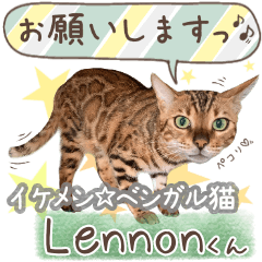 Bengal cats Lennon  Sticker
