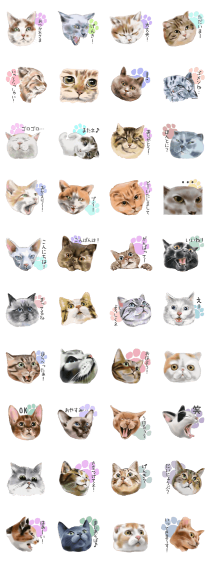 Garden of the cat