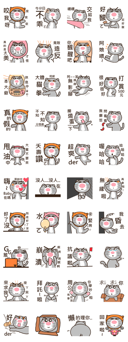 Ash Kat cat (loves handsome charmer)