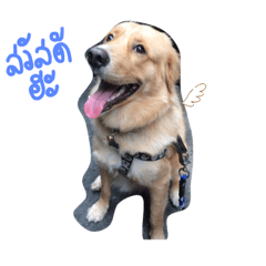 ALICE_20200707222845