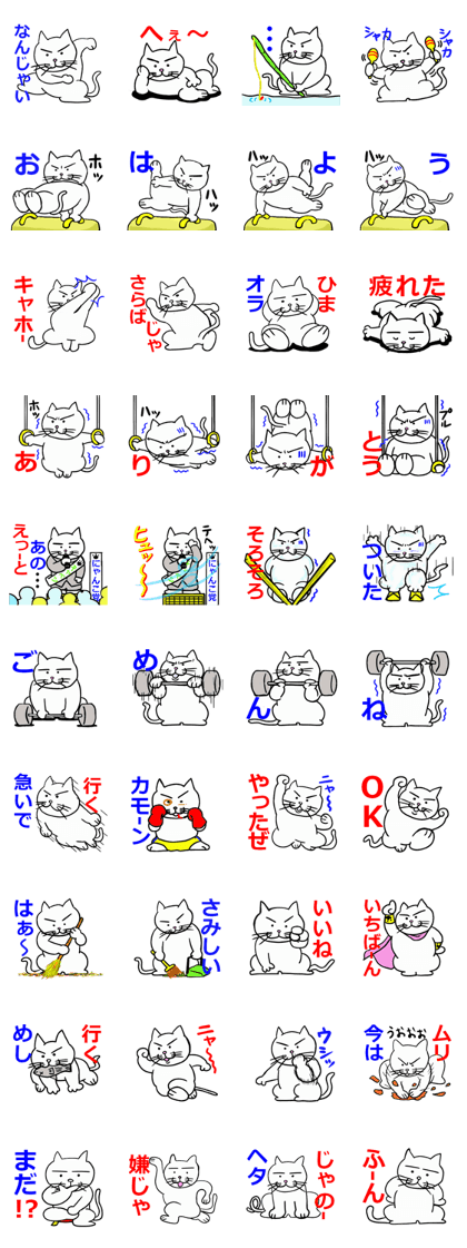 Ugly and Cute Cat