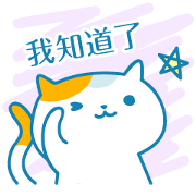 Cats Every day - Taiwan ver