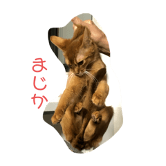 miyabi_CDt somari stamp