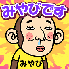 Miyabi is a Funny Monkey2