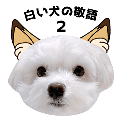 白い犬の敬語2