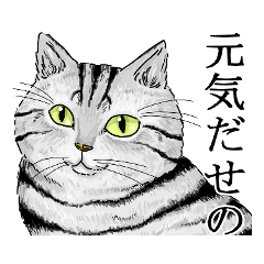 Cats are cute real – LINE stickers | LINE STORE