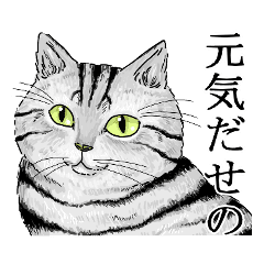 猫 庄内弁 リアルver Lineクリエイターズスタンプ Stamplist 猫 庄内弁 リアルver Lineクリエイターズスタンプ Stamplist