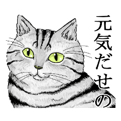 猫 庄内弁 リアルver Lineクリエイターズスタンプ Stamplist