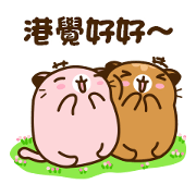 Niu Niu Cat 9