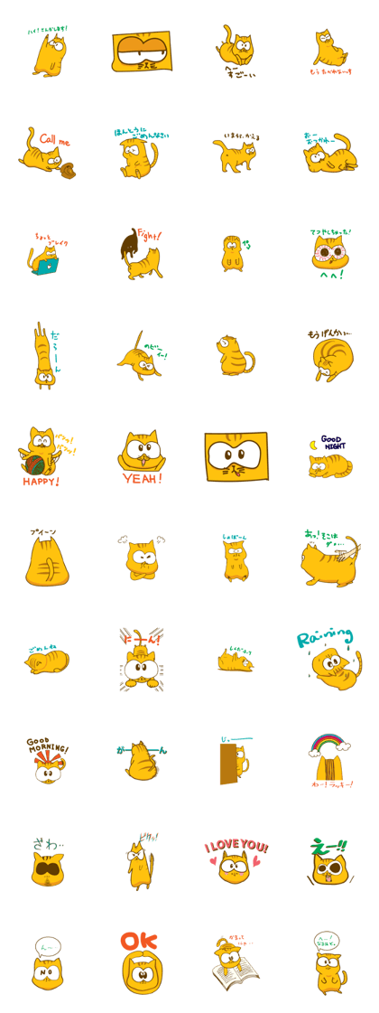 Bruno the Cat!