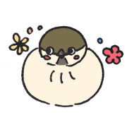 Mr.sparrow