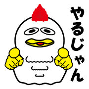 Bird bird's bird