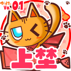 Cute cat's name sticker MY080720N12