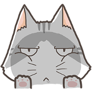 Here cat
