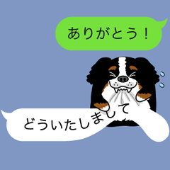 Message from a dog