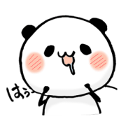 a cute panda2