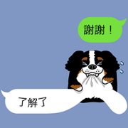 Message from a dog Chinese version