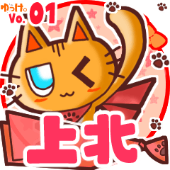 Cute cat's name sticker MY080720N14