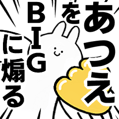 BIG Rabbits feeding [Atue]