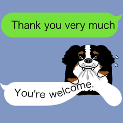 Message from a dog English version