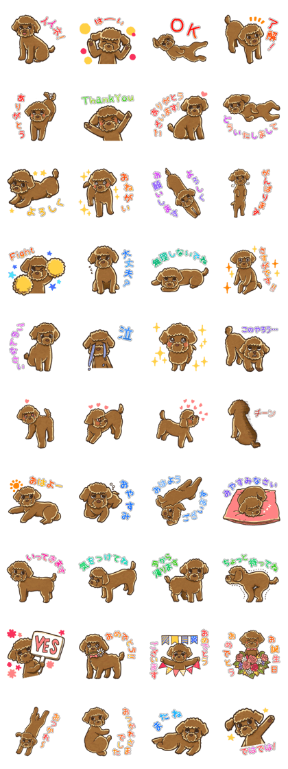 I Love Toy Poodle so much!