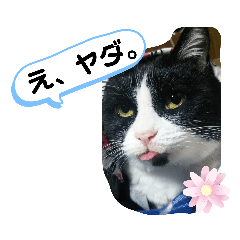 ayumi_20200708175316