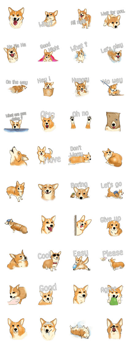 Corgi Corgi EN