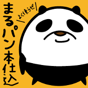 Fascinating panda returned