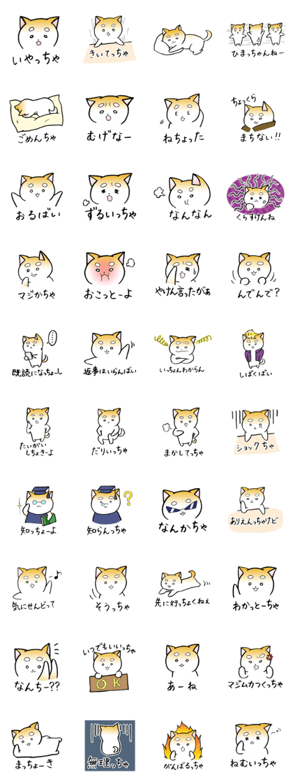hakata's dogs go to chikuho