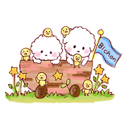 Bichon Frise 2
