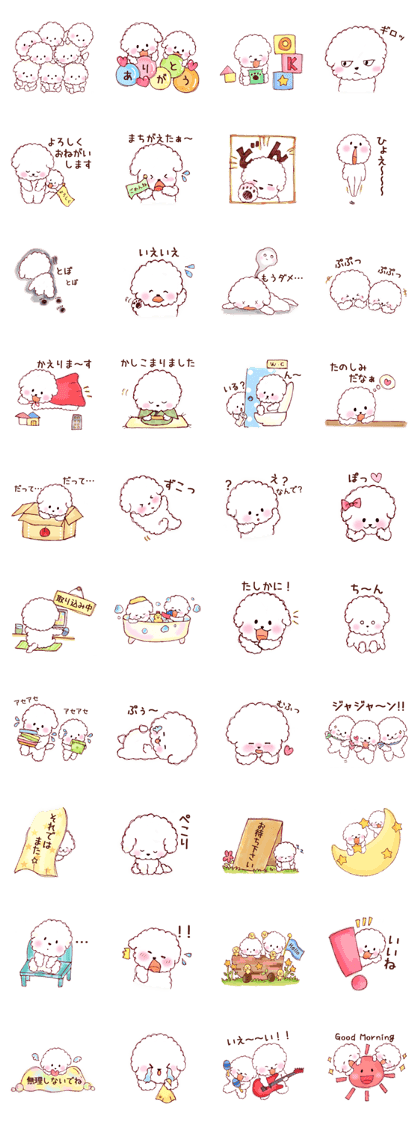 Bichon Frise 2