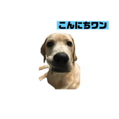 KING_20200708162024