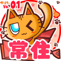 Cute cat's name sticker MY080720N19