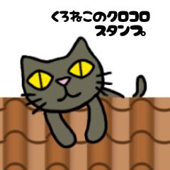 black cat Kurokoro