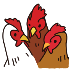 three chickens