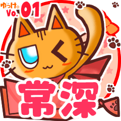 Cute cat's name sticker MY080720N20