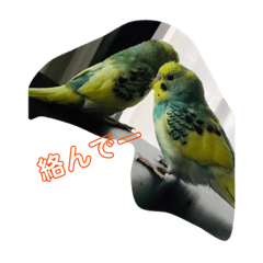 Nanami_20200708202026