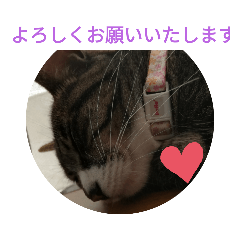 akiko_20200708203431