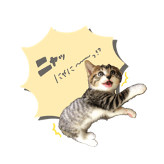 ayumi_20200708220612