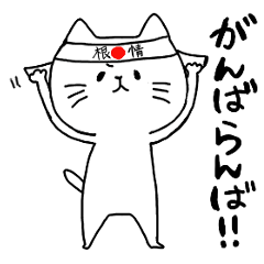 Nagasaki Cat 2