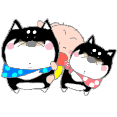 Midget Shiba MagRob and friends 6